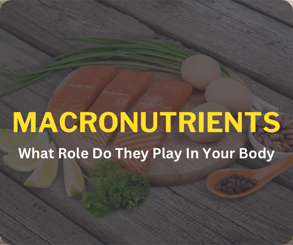 Macronutrients: What Role Do They Play In Your Body