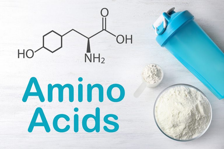 Amino Acids Needed For Muscle Growth